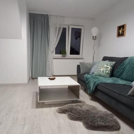 CITY VIEW Kanonierska - przy parku blisko centrum Świdnica Zewnętrze zdjęcie