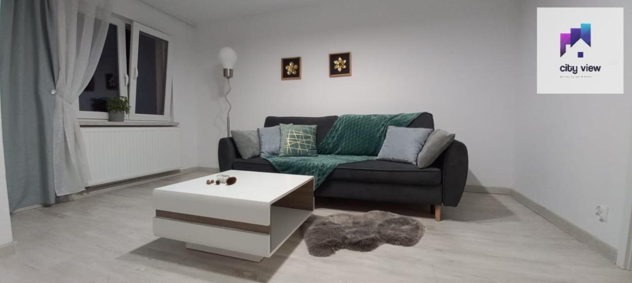 CITY VIEW Kanonierska - przy parku blisko centrum Świdnica Zewnętrze zdjęcie